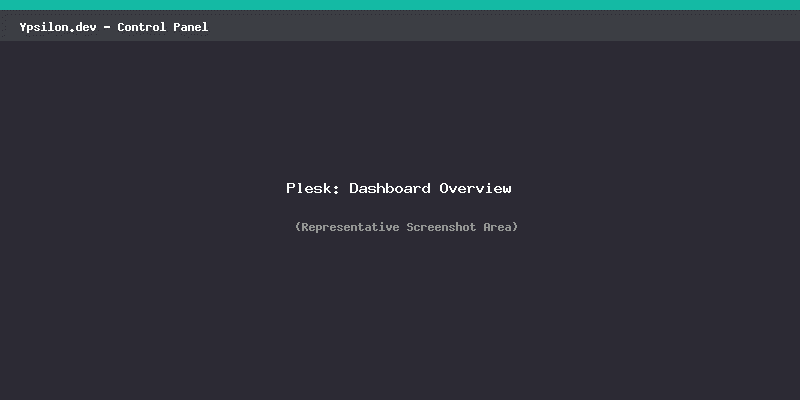 Plesk Dashboard Übersicht
